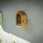 Rusticana Penzion