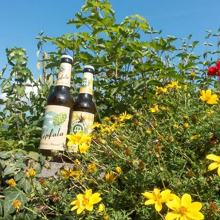 Гостевой дом Rusticana Клайс