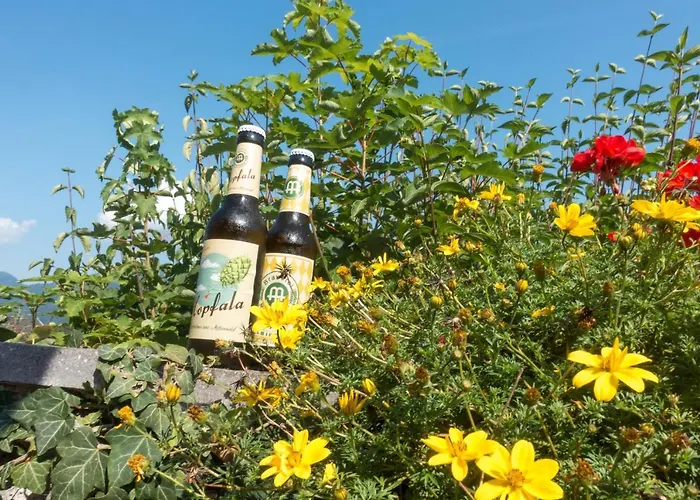 Vendégház Rusticana Klais